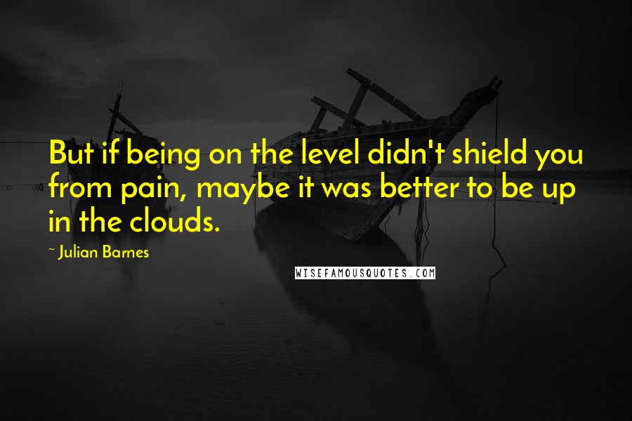 Julian Barnes Quotes: But if being on the level didn't shield you from pain, maybe it was better to be up in the clouds.