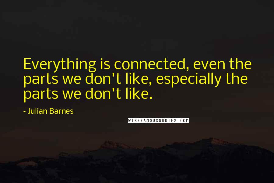 Julian Barnes Quotes: Everything is connected, even the parts we don't like, especially the parts we don't like.