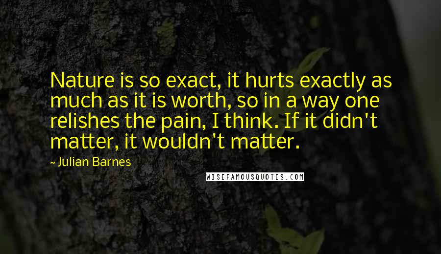 Julian Barnes Quotes: Nature is so exact, it hurts exactly as much as it is worth, so in a way one relishes the pain, I think. If it didn't matter, it wouldn't matter.