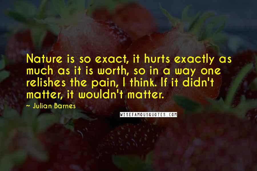 Julian Barnes Quotes: Nature is so exact, it hurts exactly as much as it is worth, so in a way one relishes the pain, I think. If it didn't matter, it wouldn't matter.