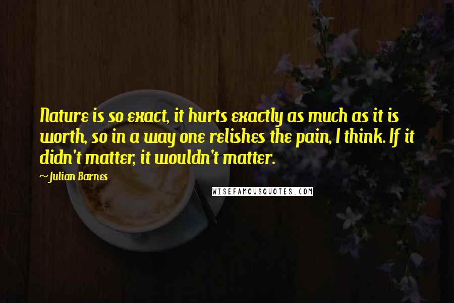 Julian Barnes Quotes: Nature is so exact, it hurts exactly as much as it is worth, so in a way one relishes the pain, I think. If it didn't matter, it wouldn't matter.