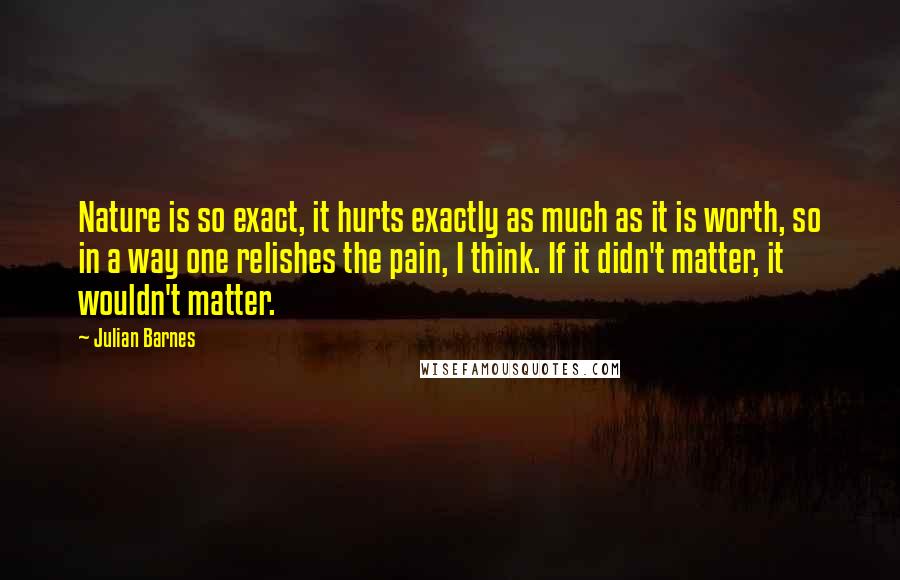 Julian Barnes Quotes: Nature is so exact, it hurts exactly as much as it is worth, so in a way one relishes the pain, I think. If it didn't matter, it wouldn't matter.