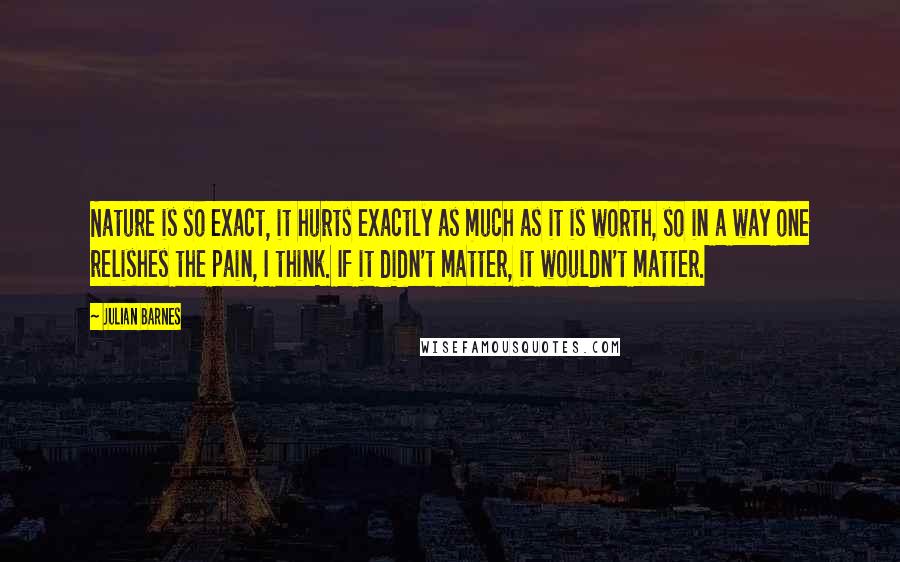 Julian Barnes Quotes: Nature is so exact, it hurts exactly as much as it is worth, so in a way one relishes the pain, I think. If it didn't matter, it wouldn't matter.