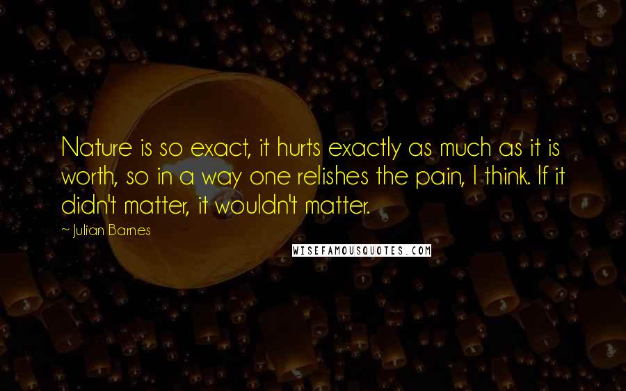 Julian Barnes Quotes: Nature is so exact, it hurts exactly as much as it is worth, so in a way one relishes the pain, I think. If it didn't matter, it wouldn't matter.