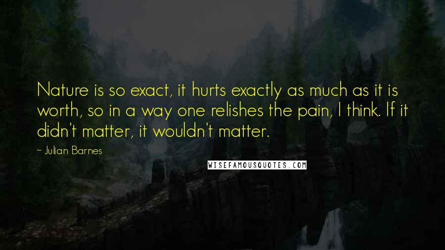 Julian Barnes Quotes: Nature is so exact, it hurts exactly as much as it is worth, so in a way one relishes the pain, I think. If it didn't matter, it wouldn't matter.