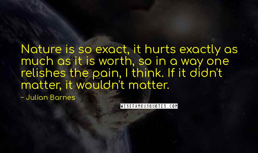 Julian Barnes Quotes: Nature is so exact, it hurts exactly as much as it is worth, so in a way one relishes the pain, I think. If it didn't matter, it wouldn't matter.