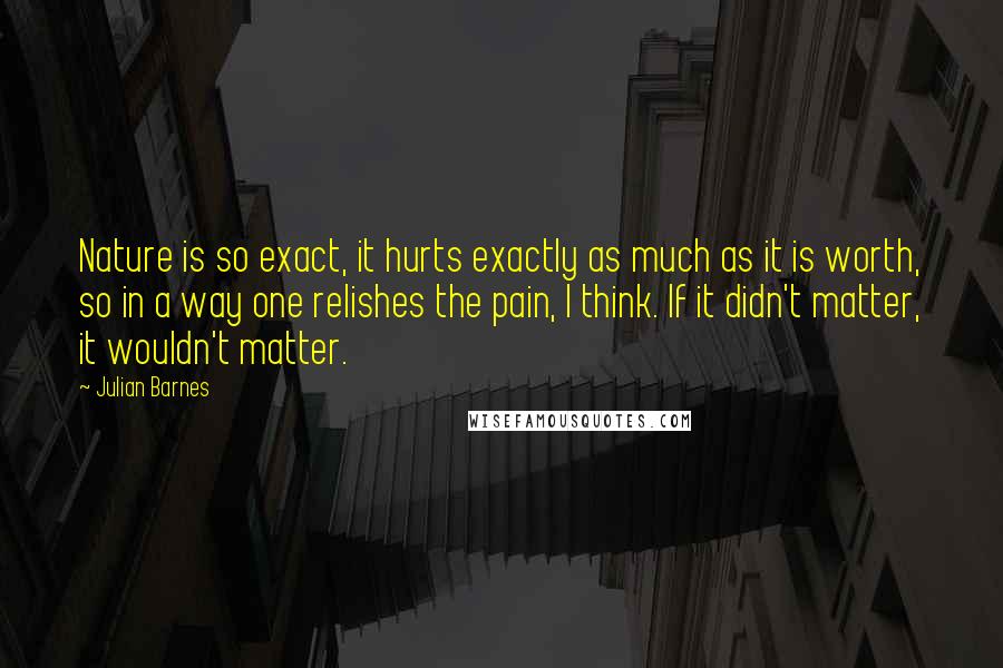 Julian Barnes Quotes: Nature is so exact, it hurts exactly as much as it is worth, so in a way one relishes the pain, I think. If it didn't matter, it wouldn't matter.