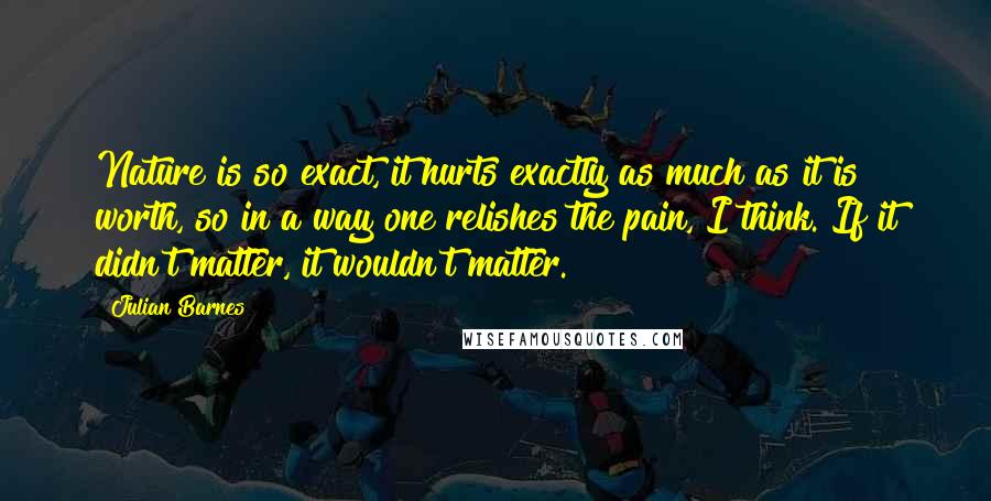 Julian Barnes Quotes: Nature is so exact, it hurts exactly as much as it is worth, so in a way one relishes the pain, I think. If it didn't matter, it wouldn't matter.