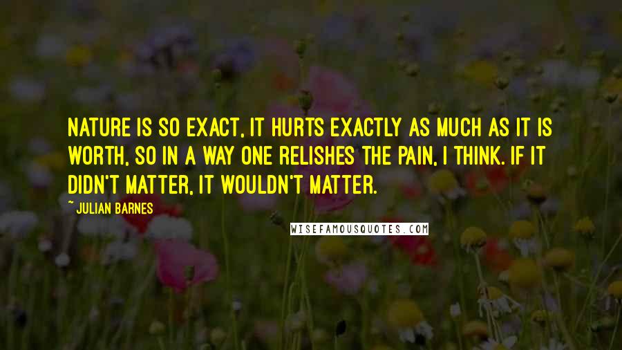 Julian Barnes Quotes: Nature is so exact, it hurts exactly as much as it is worth, so in a way one relishes the pain, I think. If it didn't matter, it wouldn't matter.