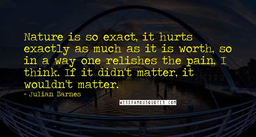 Julian Barnes Quotes: Nature is so exact, it hurts exactly as much as it is worth, so in a way one relishes the pain, I think. If it didn't matter, it wouldn't matter.