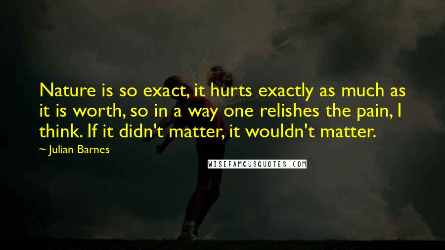 Julian Barnes Quotes: Nature is so exact, it hurts exactly as much as it is worth, so in a way one relishes the pain, I think. If it didn't matter, it wouldn't matter.