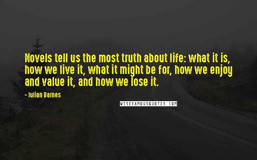 Julian Barnes Quotes: Novels tell us the most truth about life: what it is, how we live it, what it might be for, how we enjoy and value it, and how we lose it.