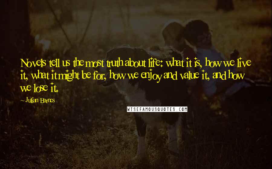 Julian Barnes Quotes: Novels tell us the most truth about life: what it is, how we live it, what it might be for, how we enjoy and value it, and how we lose it.