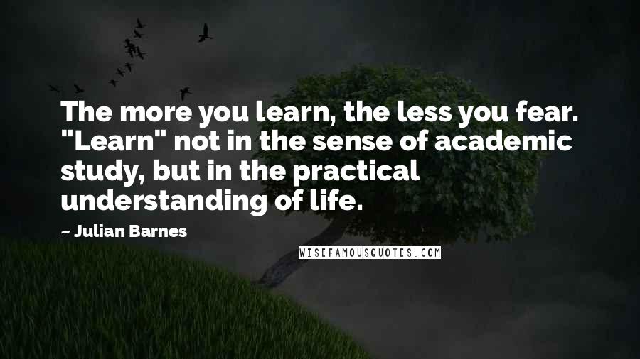 Julian Barnes Quotes: The more you learn, the less you fear. "Learn" not in the sense of academic study, but in the practical understanding of life.