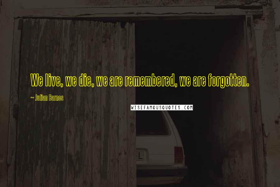 Julian Barnes Quotes: We live, we die, we are remembered, we are forgotten.