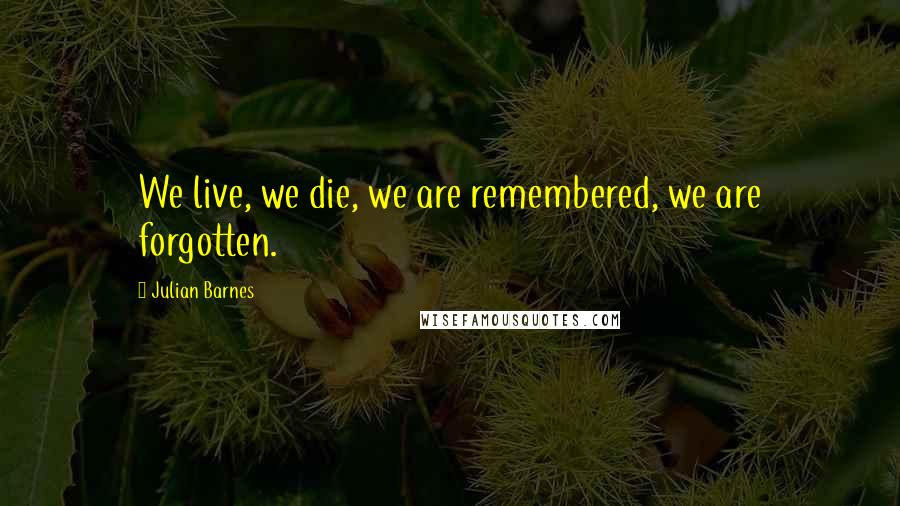 Julian Barnes Quotes: We live, we die, we are remembered, we are forgotten.