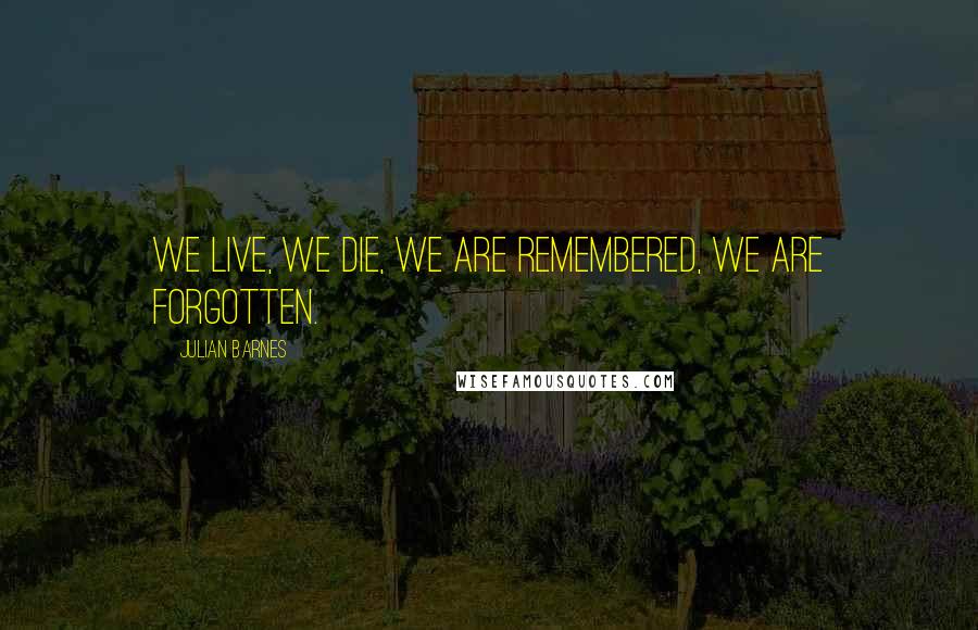 Julian Barnes Quotes: We live, we die, we are remembered, we are forgotten.