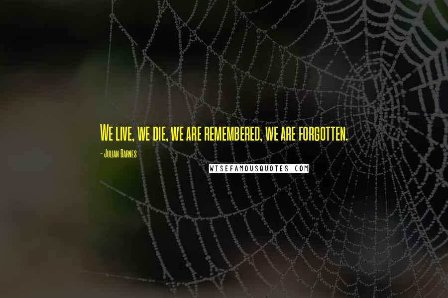 Julian Barnes Quotes: We live, we die, we are remembered, we are forgotten.
