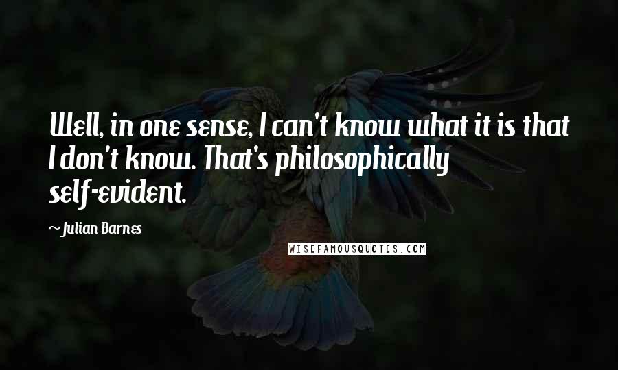 Julian Barnes Quotes: Well, in one sense, I can't know what it is that I don't know. That's philosophically self-evident.