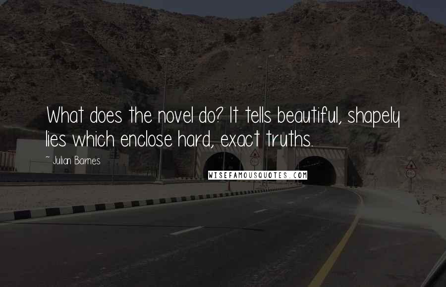 Julian Barnes Quotes: What does the novel do? It tells beautiful, shapely lies which enclose hard, exact truths.