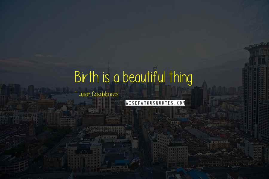 Julian Casablancas Quotes: Birth is a beautiful thing.