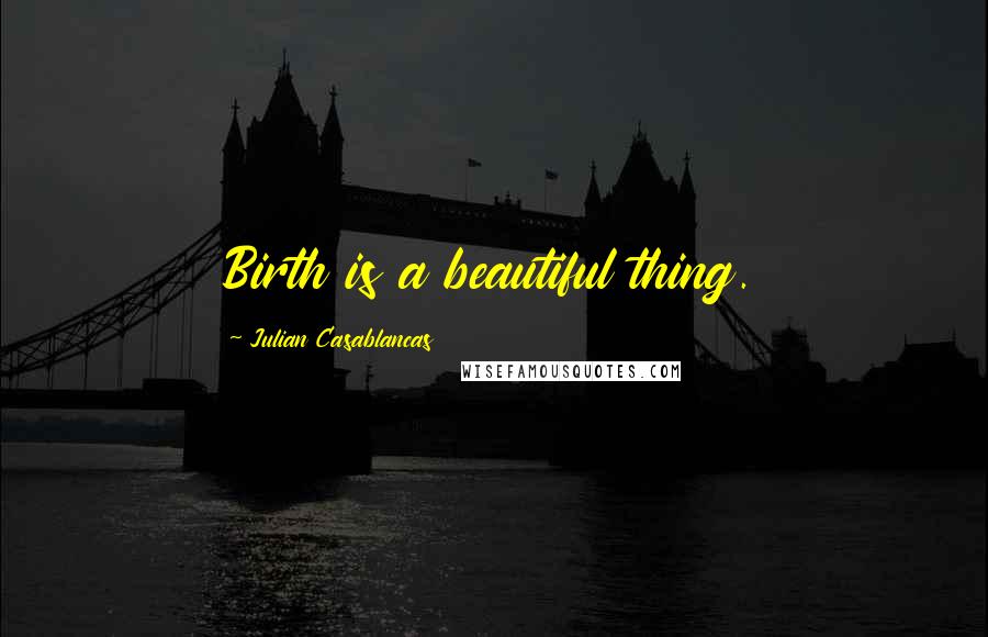 Julian Casablancas Quotes: Birth is a beautiful thing.