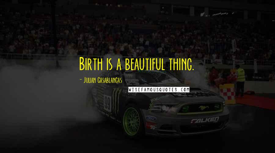 Julian Casablancas Quotes: Birth is a beautiful thing.