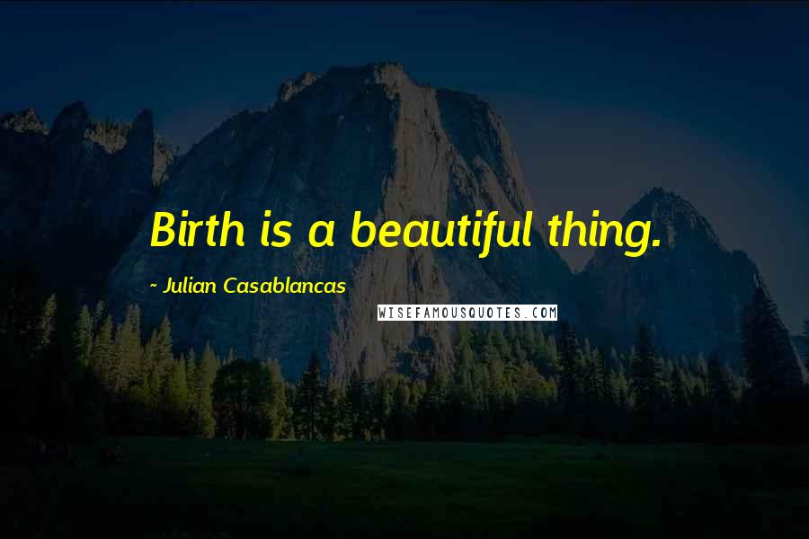 Julian Casablancas Quotes: Birth is a beautiful thing.