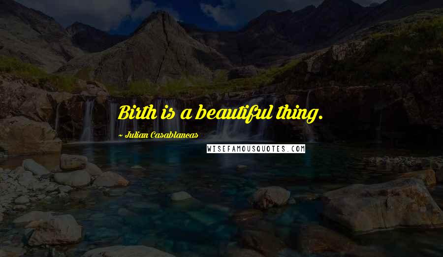 Julian Casablancas Quotes: Birth is a beautiful thing.