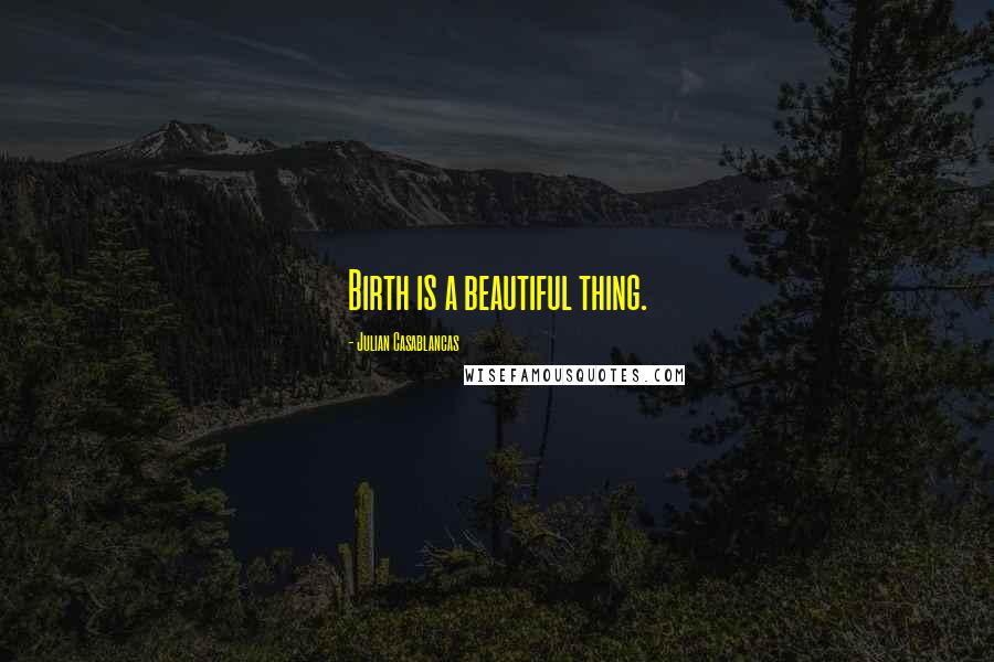 Julian Casablancas Quotes: Birth is a beautiful thing.