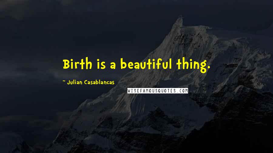 Julian Casablancas Quotes: Birth is a beautiful thing.