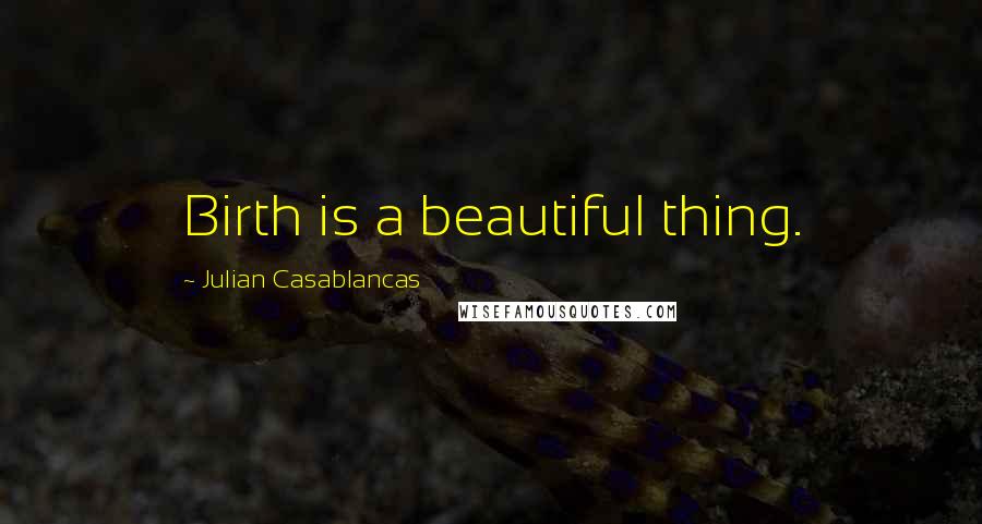 Julian Casablancas Quotes: Birth is a beautiful thing.