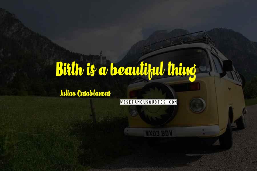 Julian Casablancas Quotes: Birth is a beautiful thing.