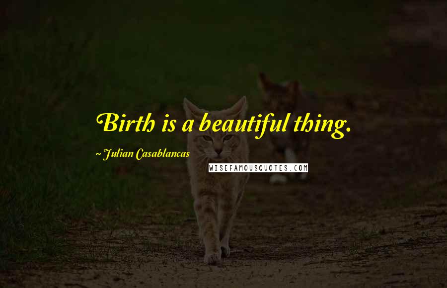 Julian Casablancas Quotes: Birth is a beautiful thing.