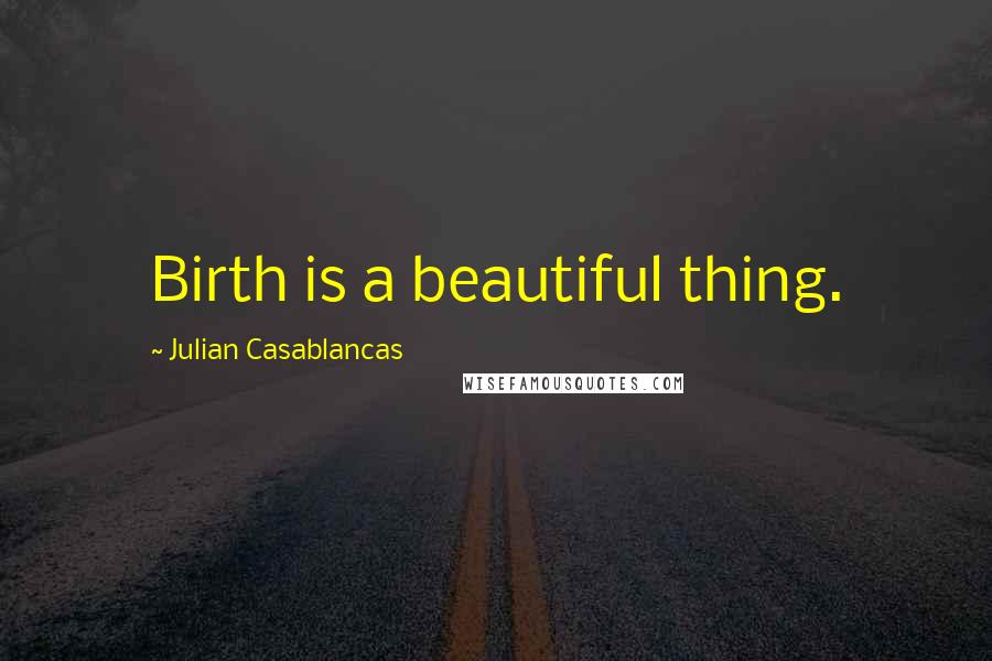 Julian Casablancas Quotes: Birth is a beautiful thing.