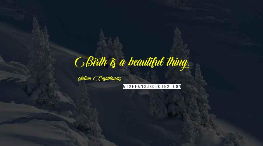 Julian Casablancas Quotes: Birth is a beautiful thing.