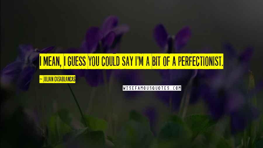 Julian Casablancas Quotes: I mean, I guess you could say I'm a bit of a perfectionist.