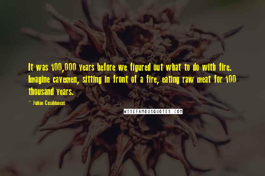 Julian Casablancas Quotes: It was 100,000 years before we figured out what to do with fire. Imagine cavemen, sitting in front of a fire, eating raw meat for 100 thousand years.