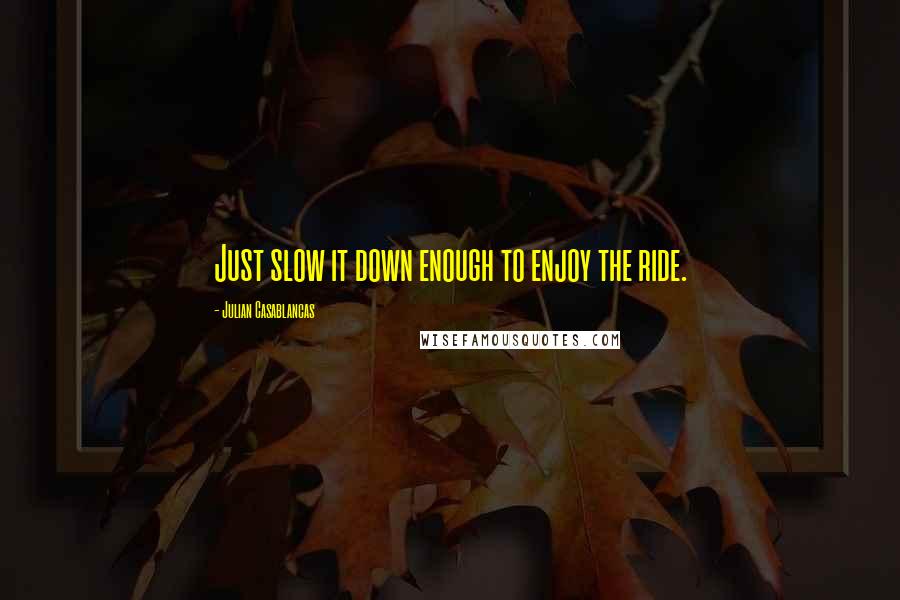 Julian Casablancas Quotes: Just slow it down enough to enjoy the ride.