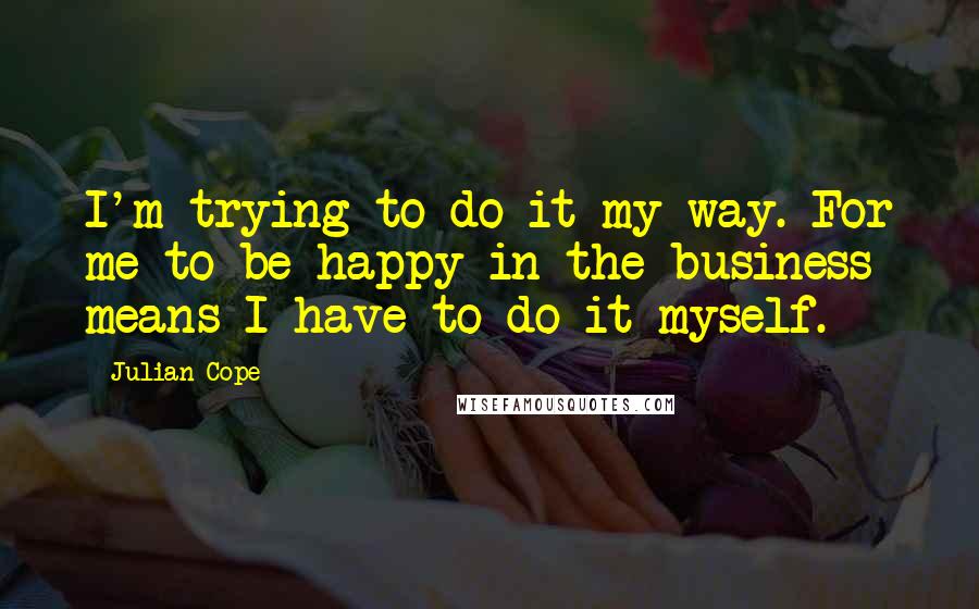 Julian Cope Quotes: I'm trying to do it my way. For me to be happy in the business means I have to do it myself.