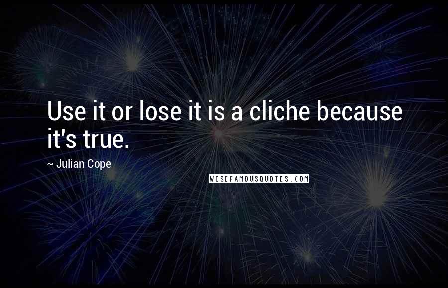 Julian Cope Quotes: Use it or lose it is a cliche because it's true.