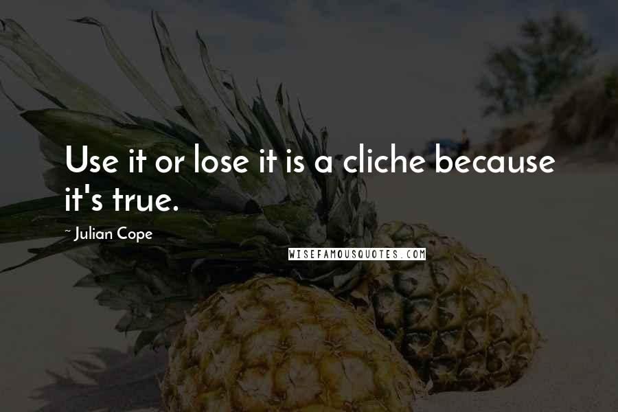 Julian Cope Quotes: Use it or lose it is a cliche because it's true.