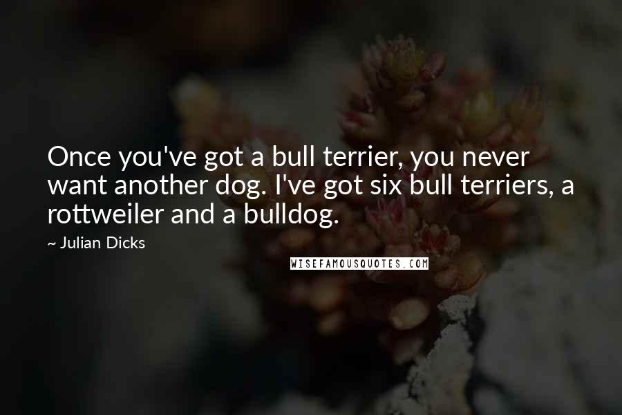 Julian Dicks Quotes: Once you've got a bull terrier, you never want another dog. I've got six bull terriers, a rottweiler and a bulldog.