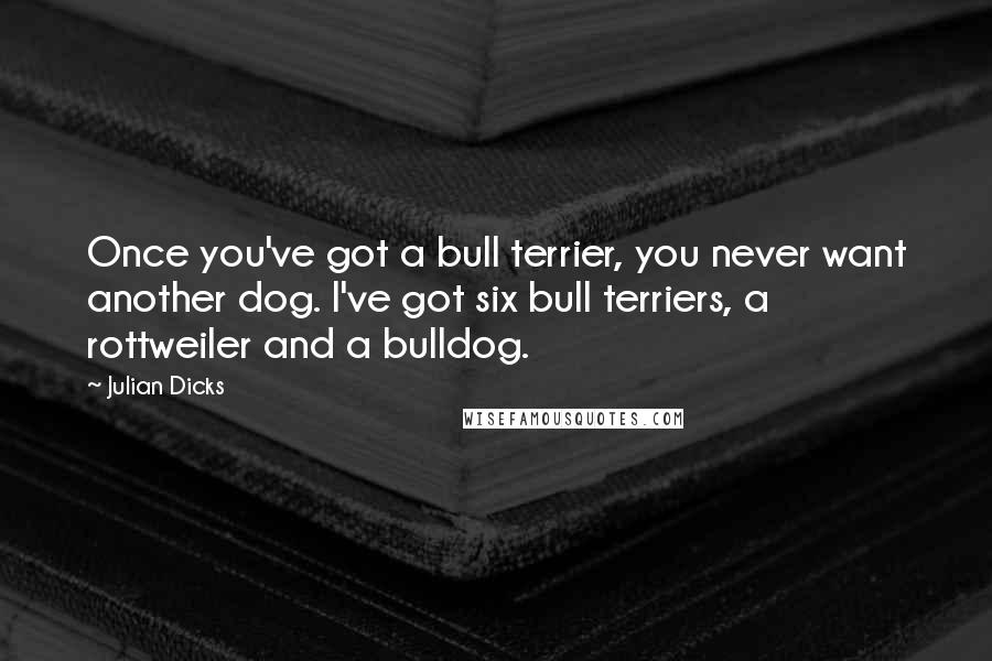 Julian Dicks Quotes: Once you've got a bull terrier, you never want another dog. I've got six bull terriers, a rottweiler and a bulldog.