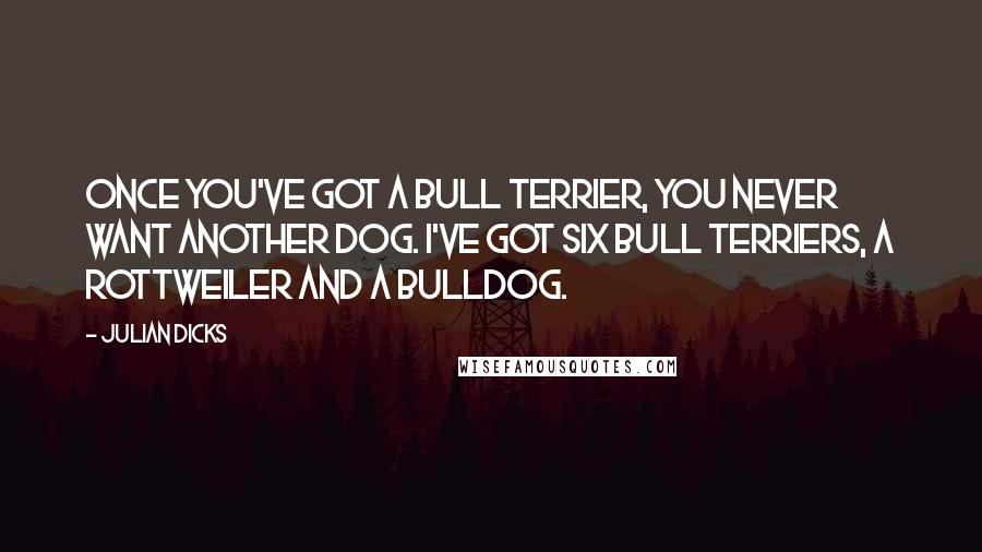 Julian Dicks Quotes: Once you've got a bull terrier, you never want another dog. I've got six bull terriers, a rottweiler and a bulldog.