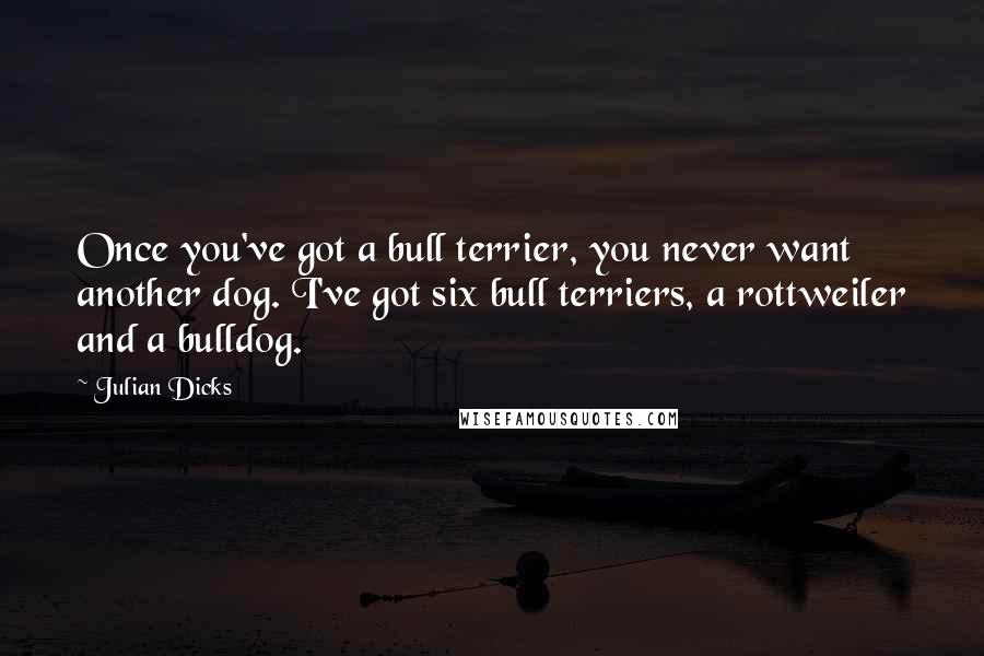 Julian Dicks Quotes: Once you've got a bull terrier, you never want another dog. I've got six bull terriers, a rottweiler and a bulldog.