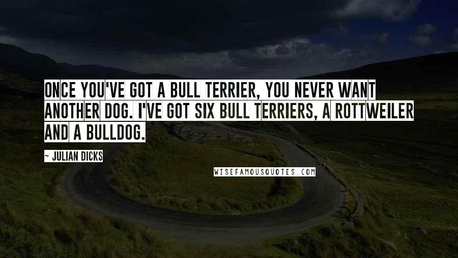 Julian Dicks Quotes: Once you've got a bull terrier, you never want another dog. I've got six bull terriers, a rottweiler and a bulldog.