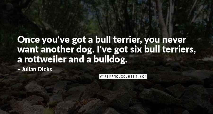 Julian Dicks Quotes: Once you've got a bull terrier, you never want another dog. I've got six bull terriers, a rottweiler and a bulldog.