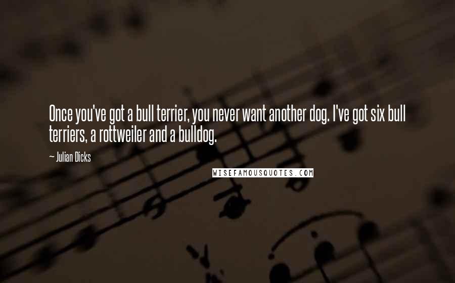 Julian Dicks Quotes: Once you've got a bull terrier, you never want another dog. I've got six bull terriers, a rottweiler and a bulldog.