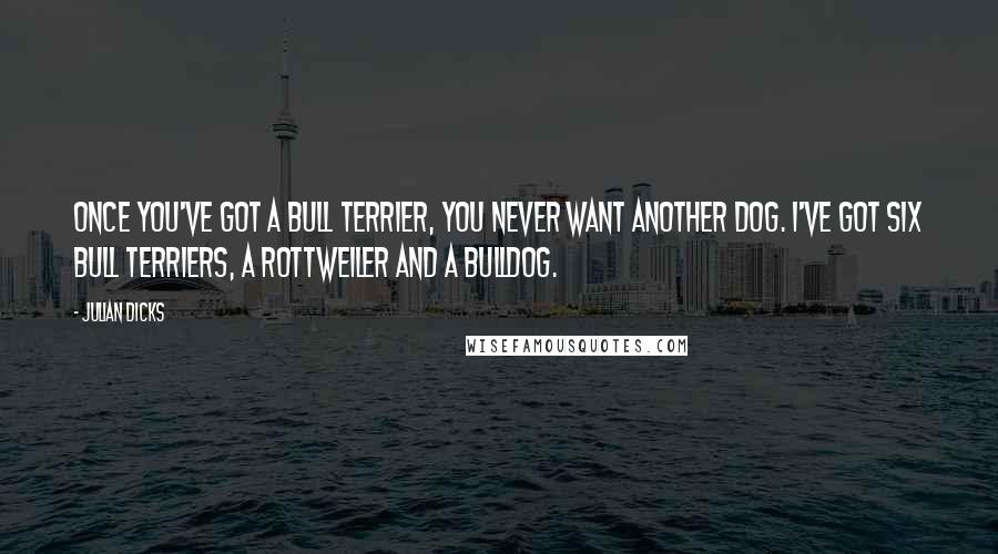 Julian Dicks Quotes: Once you've got a bull terrier, you never want another dog. I've got six bull terriers, a rottweiler and a bulldog.